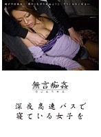 無言痴姦 深夜高速バスで寝ている女子を