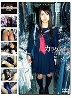 未成年（三二五）カラダの価格 少女と青い性 62